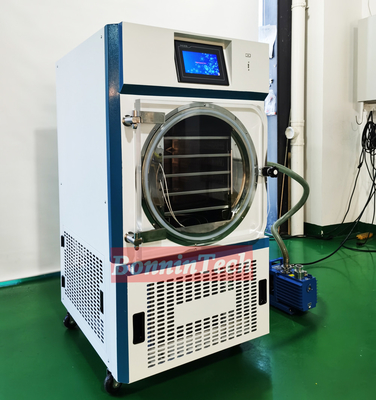 Food Fruit Vegetable Small Mini Lab Liofilizador Freeze Drying Machine Price Home Vacuum Freeze Dryer Lyophilizer