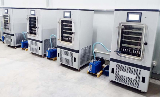 IVD Reagents Lyophilizers Medical Biosample Laboratory Freeze Dryer Pilot In Situ