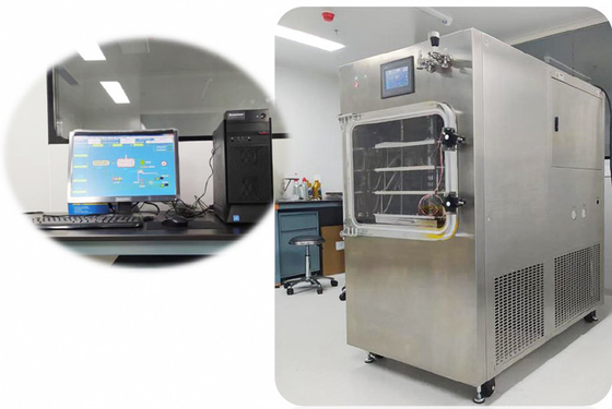 IVD Reagents Lyophilizers Medical Biosample Laboratory Freeze Dryer Pilot In Situ